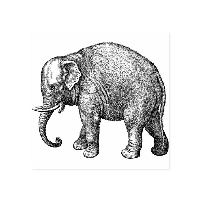  Elephant Rubber Stamp (Imprint)