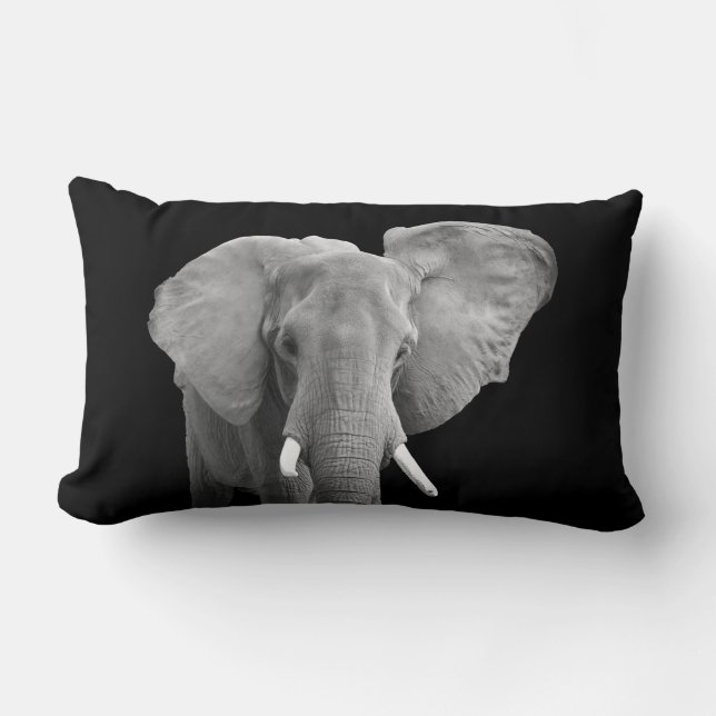 Elephant Safari Animal Photo on Black Lumbar Cushion (Front)