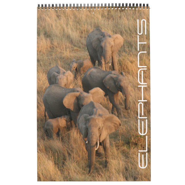 elephant safari calendar (Cover)