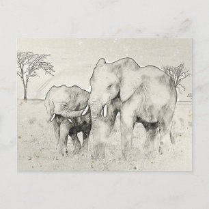 Elephant Safari Sketch Post Card