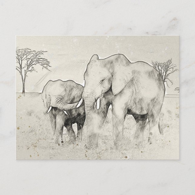Elephant Safari Sketch Post Card (Front)