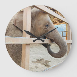 Elephant Sanctuary Large Clock