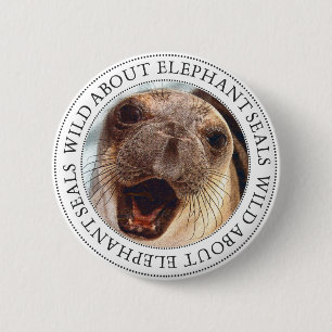 Elephant Seal 6 Cm Round Badge
