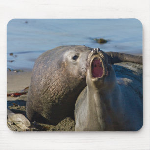 Elephant Seal Matting Mouse Mat