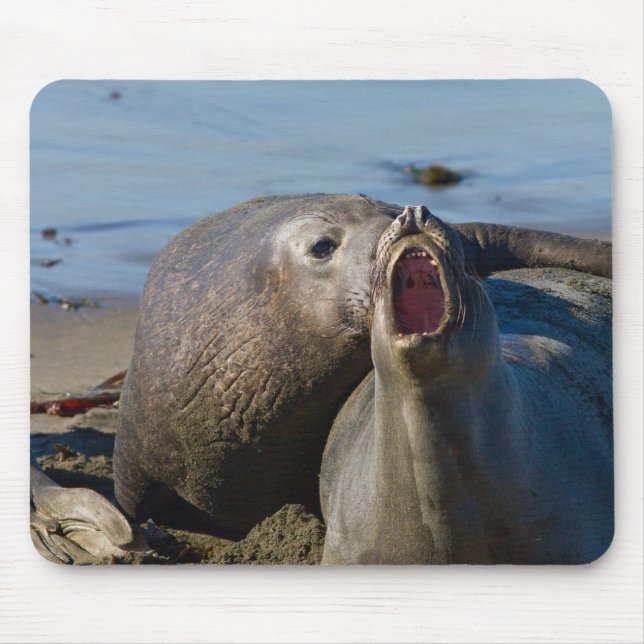 Elephant Seal Matting Mouse Mat (Front)