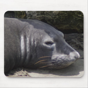 Elephant seal mousepad