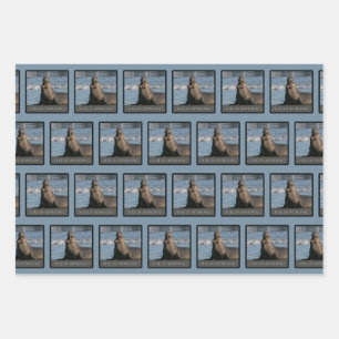 Elephant Seal Of Approval Wrapping Paper (Mix)