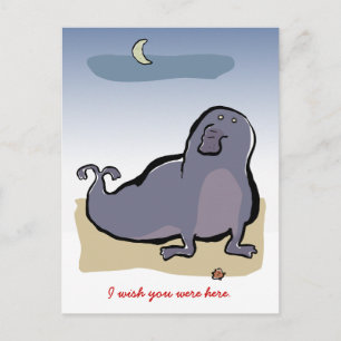 elephant seal postcard