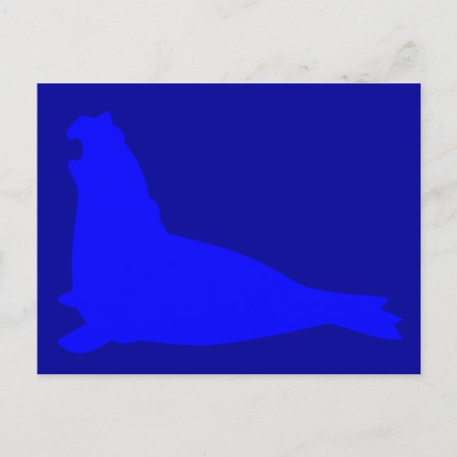 Elephant Seal Postcard Blue (Front)