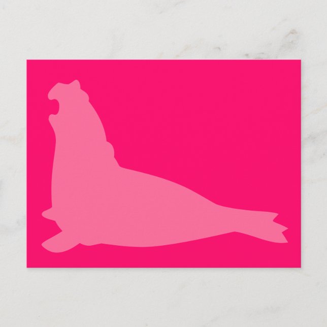 Elephant Seal Postcard Pink (Front)