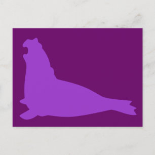 Elephant Seal Postcard Purple