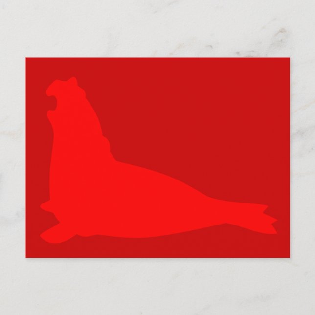 Elephant Seal Postcard Red (Front)