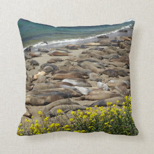 Elephant Seal Rookery Cushion