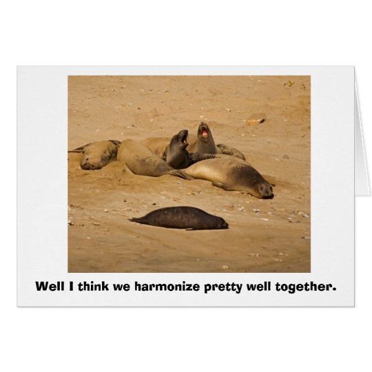 Elephant Seals Bellow in Harmony Card