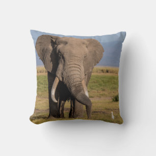 Elephant Searching Cushion