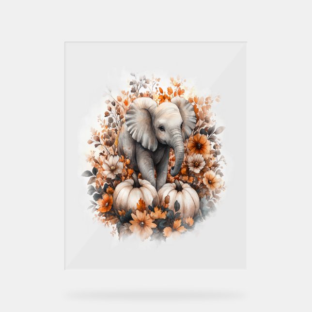 Elephant Shirt Country Pumpkin Acrylic Sign (Front)