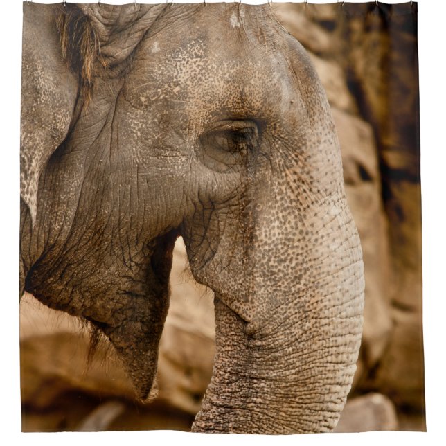 ELEPHANT SHOWER CURTAIN (Front)