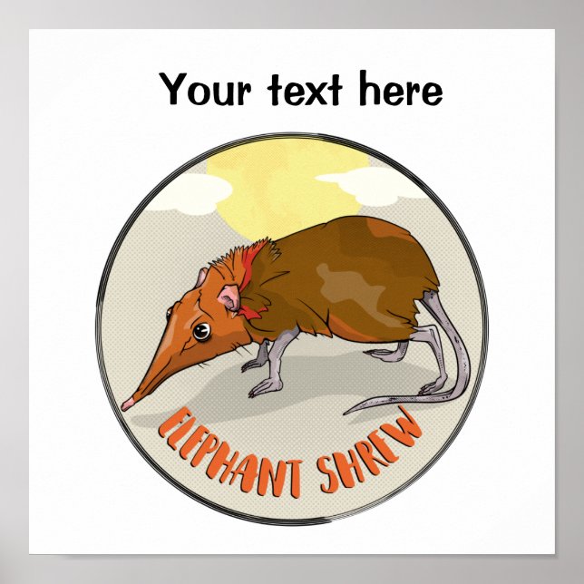 Elephant Shrew Poster (Front)