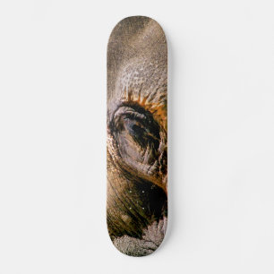 ELEPHANT SKATEBOARD