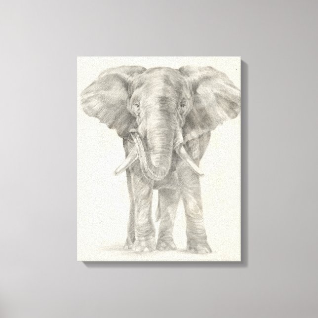Elephant Sketch Canvas Print (Front)