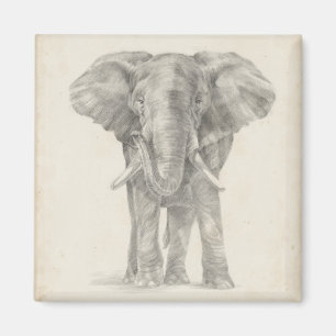 Elephant Sketch Magnet