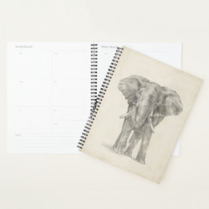 Elephant Sketch Planner