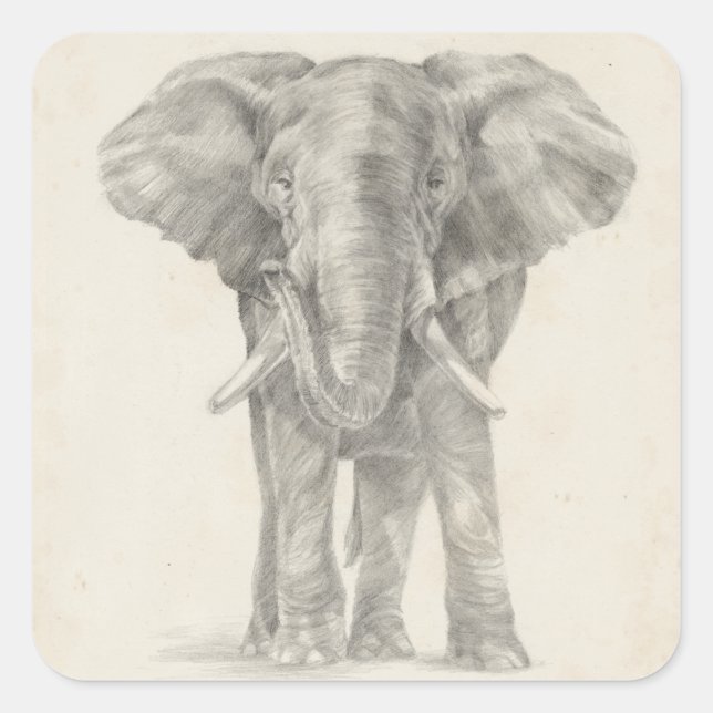 Elephant Sketch Square Sticker (Front)
