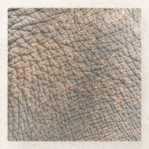 Elephant Skin: Abstract Texture Background Glass Coaster