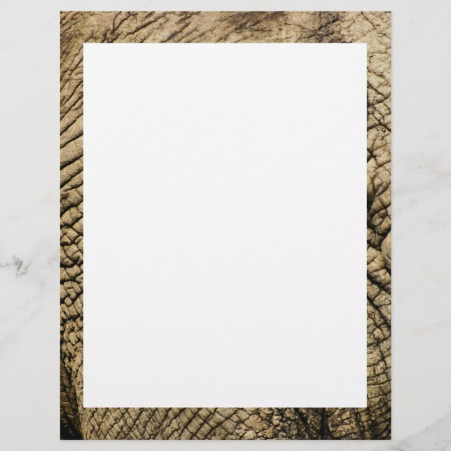 Elephant skin letterheads - vets, travel agents (Front)
