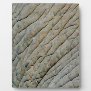 Elephant Skin Personalised With Your Name Plaque