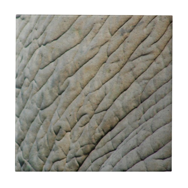 Elephant Skin Personalised With Your Name Tile (Front)