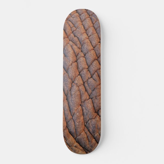 Elephant Skin Skateboard (Front)