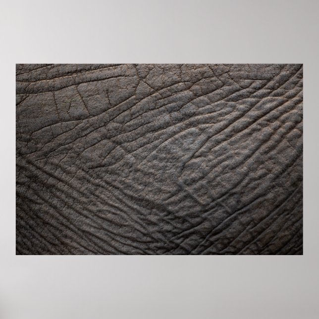 Elephant skin texture pachyderm poster (Front)