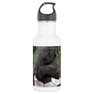 Elephant Soccer 532 Ml Water Bottle