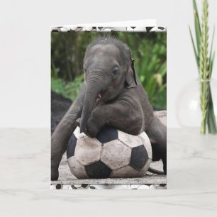 Elephant Soccer Card