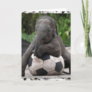 Elephant Soccer Card