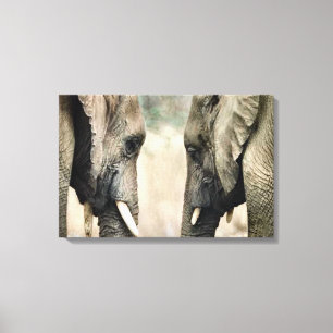 Elephant Soulmates Canvas Print