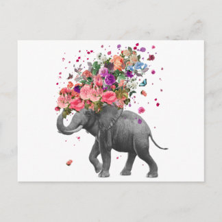 Elephant Splash Postcard