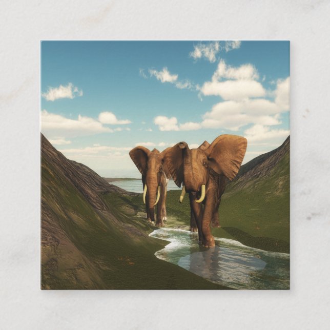 Elephant Square Business Card (Front)