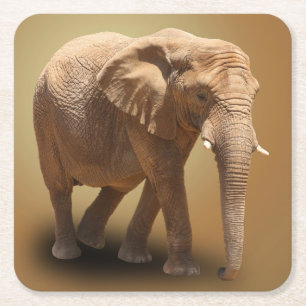 ELEPHANT SQUARE PAPER COASTER
