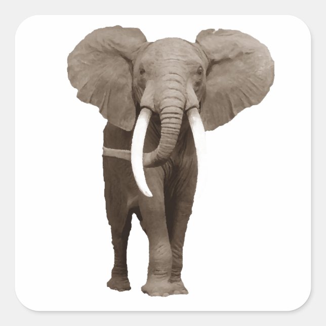 Elephant Square Sticker (Front)