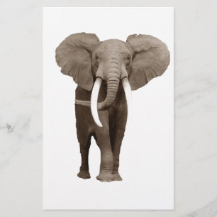 Elephant Stationery
