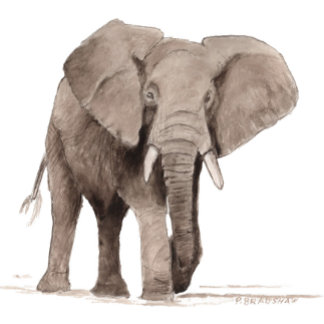 Elephant Sticker