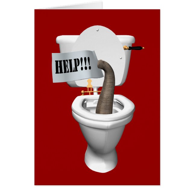 Elephant Stuck In Toilet (Front)