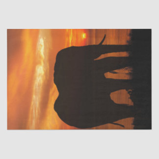 Elephant Sunset Silhouette Tissue Paper