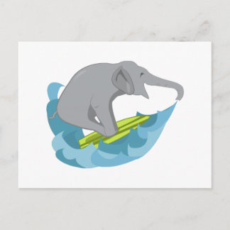 Elephant Surfer Postcard