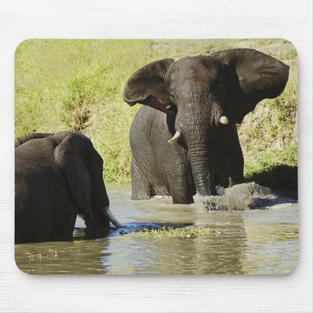 Elephant swimming mouse mat (Front)