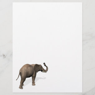 Elephant Taking A Selfie