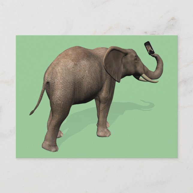 Elephant Taking A Selfie Postcard (Front)