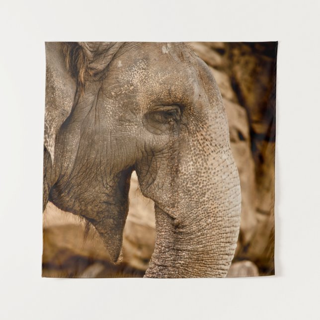 ELEPHANT TAPESTRY (Front)